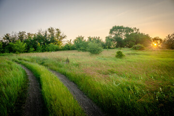 sunset in the field