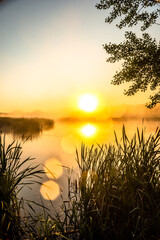 Golden sunrise.Fog on the lake ,golden hour ,golden sunrise ,fogy morning .Trees and fog .Sunny morning ,golden fog ,lights of sun .Birds on water ,lake with birds ,nature in morning ,summer landscape
