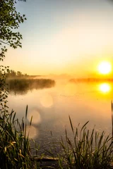 Foto auf Acrylglas golden sunrise over the river with tree andreeds in mist at summer morning © Александр Рябинин