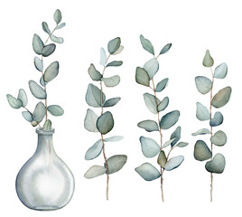 Eucalyptus, bouquet in a vase. Hand drawn clipart isolated on white background Watercolor floral illustration set green leaf branches collection, for wedding stationary, greetings, wallpapers, fashion