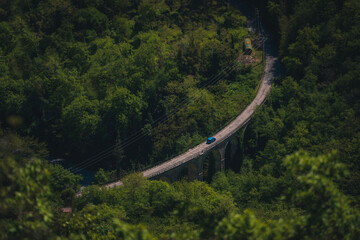 Route dans la forêt
