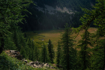 morning in the mountains