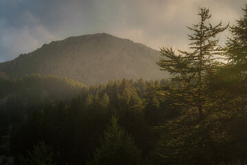 misty morning in the mountains