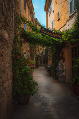 narrow street in the old town