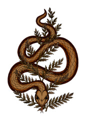 Fototapeta premium Golden Creeping Snake in Fern Leaf Autumn Vintage Botanical Illustration Hand Drawn Tattoo Design Idea