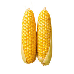 Bird s eye view of a halved corn cob