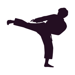 Free vector hand drawn karate silhouette