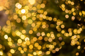 christmas tree background,magical atmospheric light