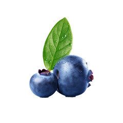 Blueberry on transparent background