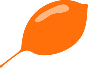 Cute hand drawn autumn leaf.