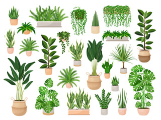 Set of houseplants in a pots for home, office, premises decor. Colorful vector collection of illustrations isolated on white background. Trendy home decor with plants, urban jungle.