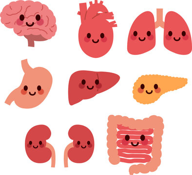 かわいい臓器のキャラクターイラストのセット(Set of cute cartoon internal organs)