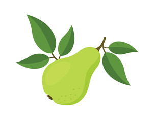 Green pear on a branch with leaves, eps 10 format