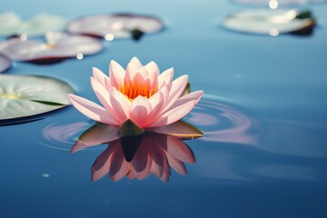 A floating lotus flower on the calm surface of a pond symbolizes the potential for transformation and spiritual growth through the practice of meditation and mindfulness. AI Generative