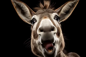 Fotobehang Happy surprised donkey with open mouth. © vlntn