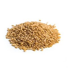Fototapeta premium Spelt Groats isolated on white background side view 