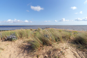 Point of the Aiguillon bay. L'Aiguillon-la-Presqu'île village