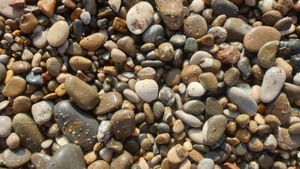 small sea pebbles with shells close-up, background