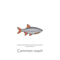 Crucian carp icon. Outline colorful icon of carp fish on white. Vector illustration