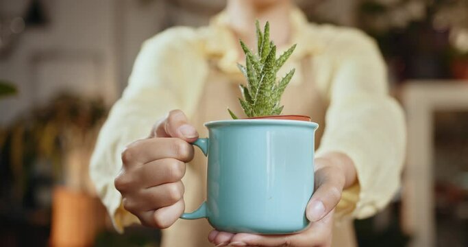 Small business female owner holding plants in blue mug sustainable packaging concept. African american woman florist got order at counter of her flower shop, occupation working concept