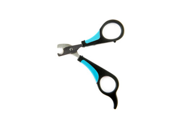 Clipper for dogs and cats isolated on white background.