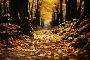 Golden leaves blanket the forest floor, as the canopy above gleams with autumn's radiant hues. Nature's opulent display in full splendor.