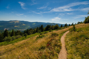 Pétit Hohneck und Gaschney in den Vogesen im Elsass