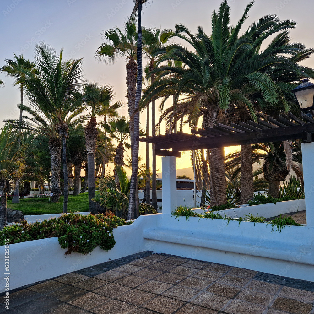 Poster morning glow over puerto de la cruz