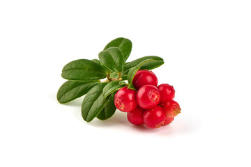 Fresh wild lingonberry with leaves, isolated on white background.