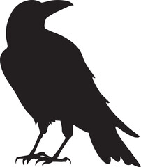 Crow vector silhouette illustration black color, crow bird vector