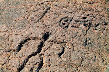 Ancient Native Hawaiian Rock Carvings Etched In Stone at Puako Petroglyph Archaeological Preserve, Hawaii Island, Hawaii, USA