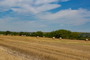 Fototapeta na wymiar view of the field with bales
