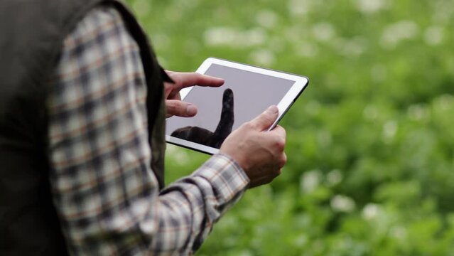 Cropped shot of farmer's hands hold and use digital tablet to analyse and check the growth and disease of the plants in the blooming potato field. Smart farming technology and agriculture concept