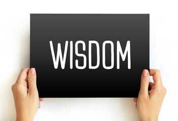 Wisdom - ability to contemplate and act using knowledge, experience, understanding, common sense...
