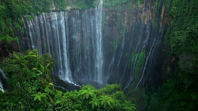 Aerial view fly through trees to Tumpak Sewu waterfall, East Java, Indonesia
