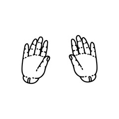vector illustration of a pair of hands