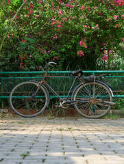 Fototapeta na wymiar An old damaged bicycle