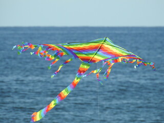 kite in the sea