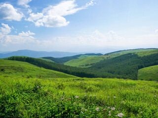 Obraz premium 夏の車山高原の景色