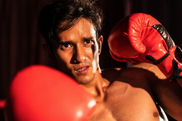 Muay Thai boxer punch his fist in front of camera in ready to fight stance posing at gym with...