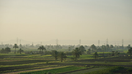 Landscape view of a Village 