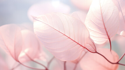 Light pink transparent leaves background