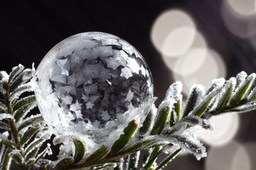 Freezing soap bubble close up on spruce branch ice cold weather