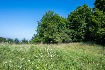 Landscape of Erul mountain near Kamenititsa peak, Bulgaria