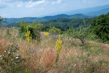 Landscape of Erul mountain near Kamenititsa peak, Bulgaria