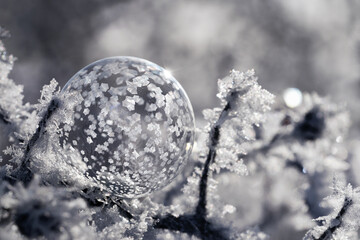 freezing soap bubble with backlight and sparkle effect close-up