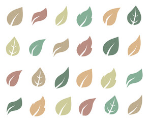 Autumn leaves. Set of colorful autumn leaves. Autumn design element. Vector illustration.