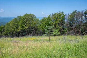 Landscape of Erul mountain near Kamenititsa peak, Bulgaria