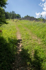Landscape of Erul mountain near Kamenititsa peak, Bulgaria