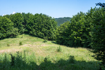 Landscape of Erul mountain near Kamenititsa peak, Bulgaria